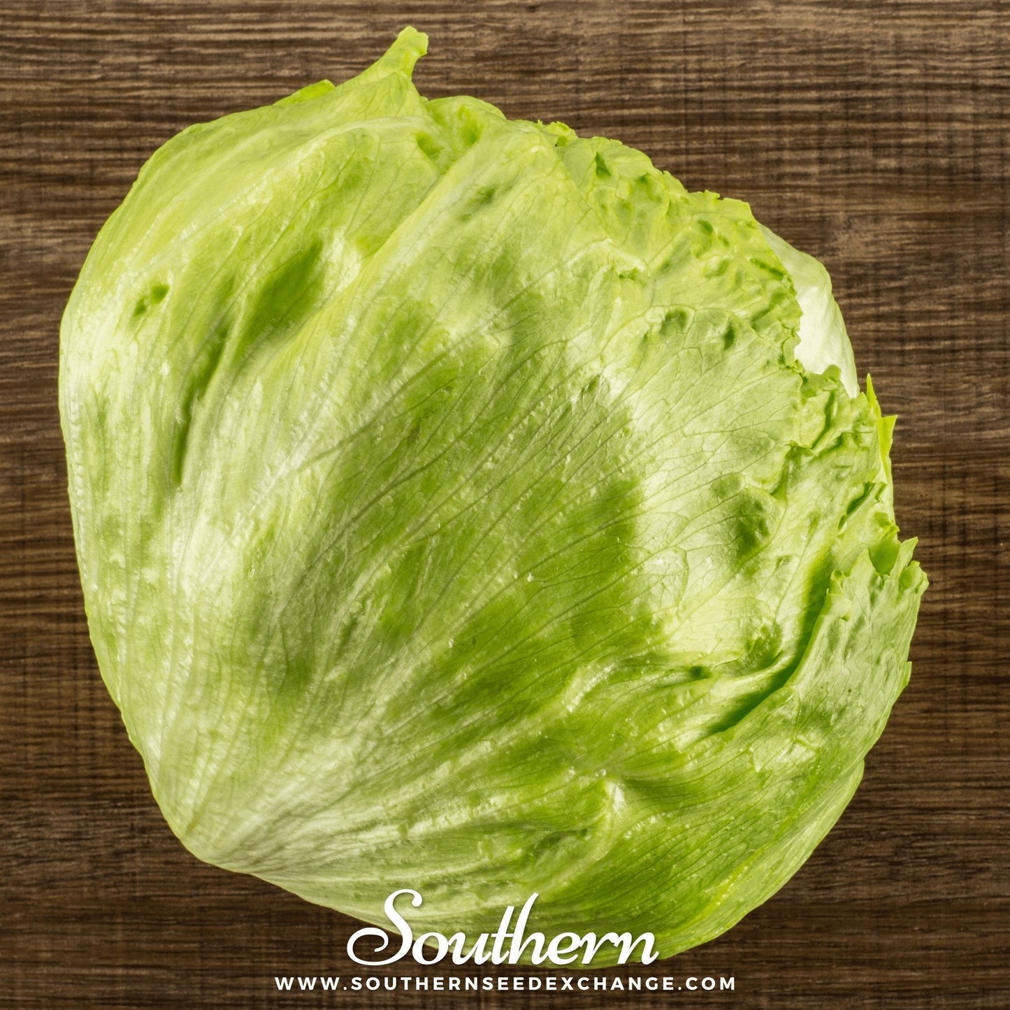 Iceberg Lettuce ā 500 Seeds