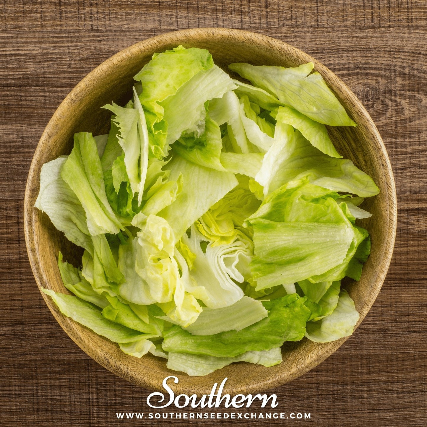 Iceberg Lettuce ā 500 Seeds