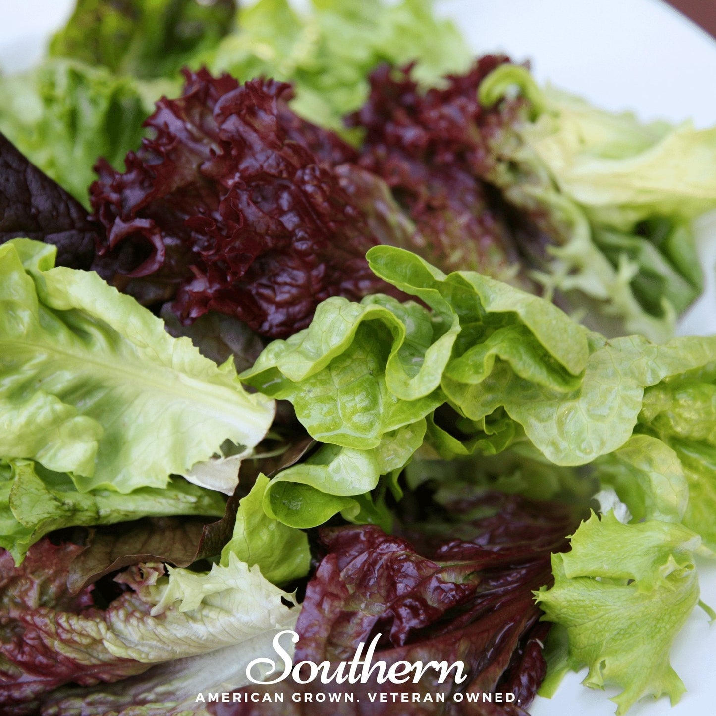 Mesclun Mix Lettuce ā 500 Seeds