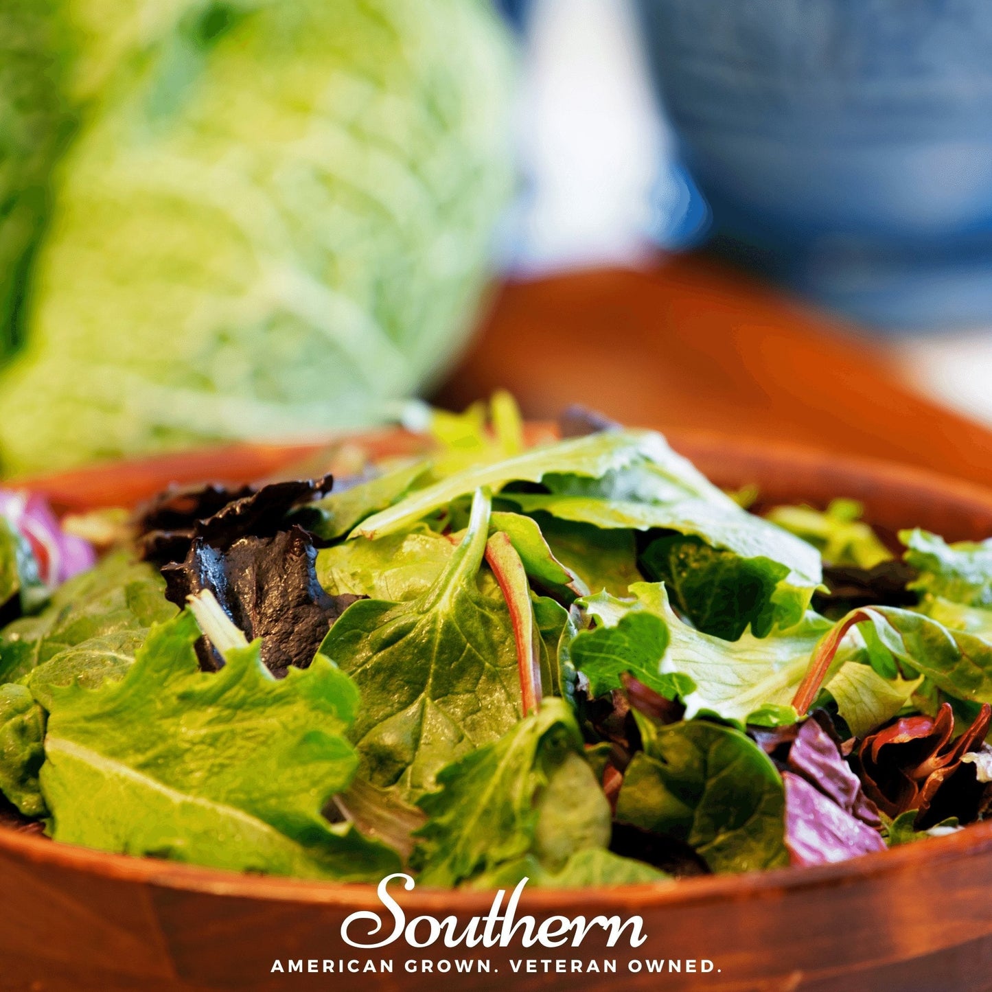 Mesclun Mix Lettuce ā 500 Seeds