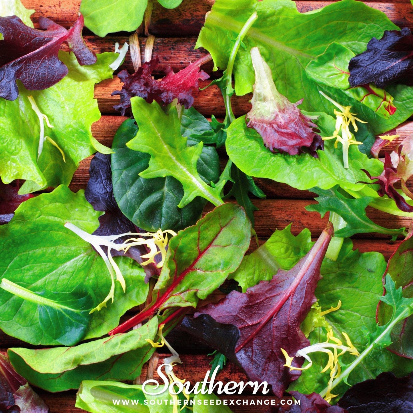 Gourmet Mix Lettuce ā 500 Seeds