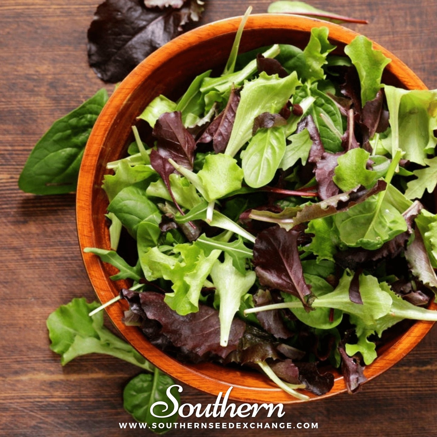 Gourmet Mix Lettuce ā 500 Seeds