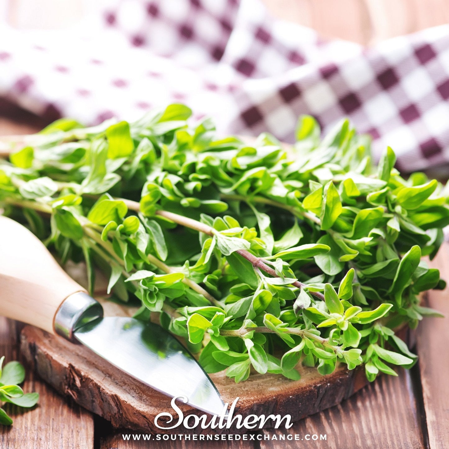 Sweet Marjoram ā 100 Seeds