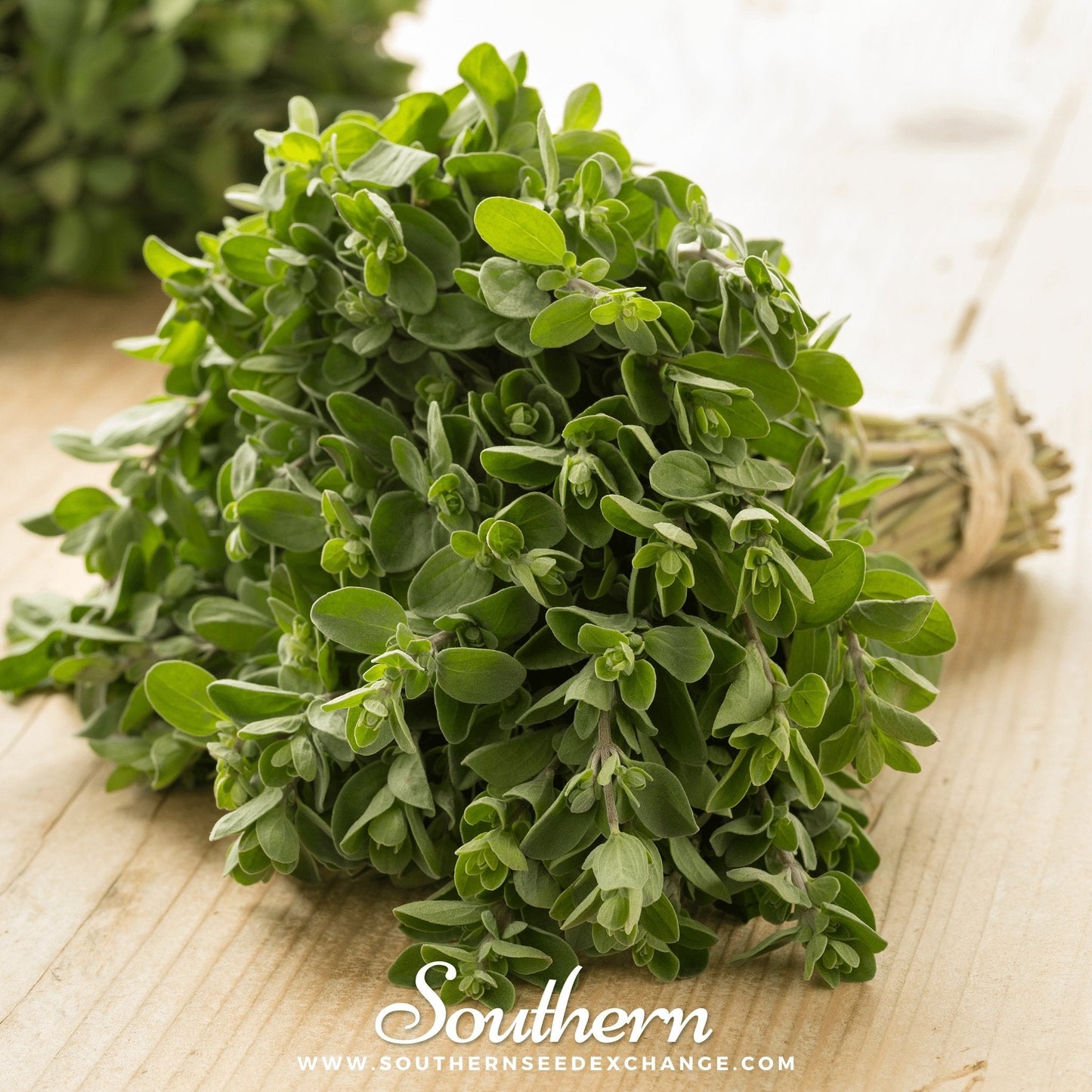 Sweet Marjoram ā 100 Seeds