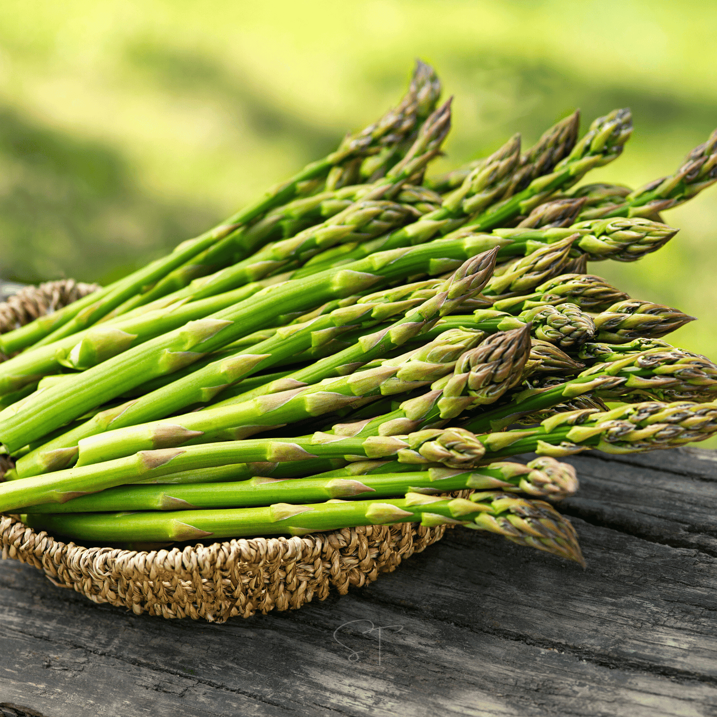 Mary Washington Asparagus ā 50 Seeds