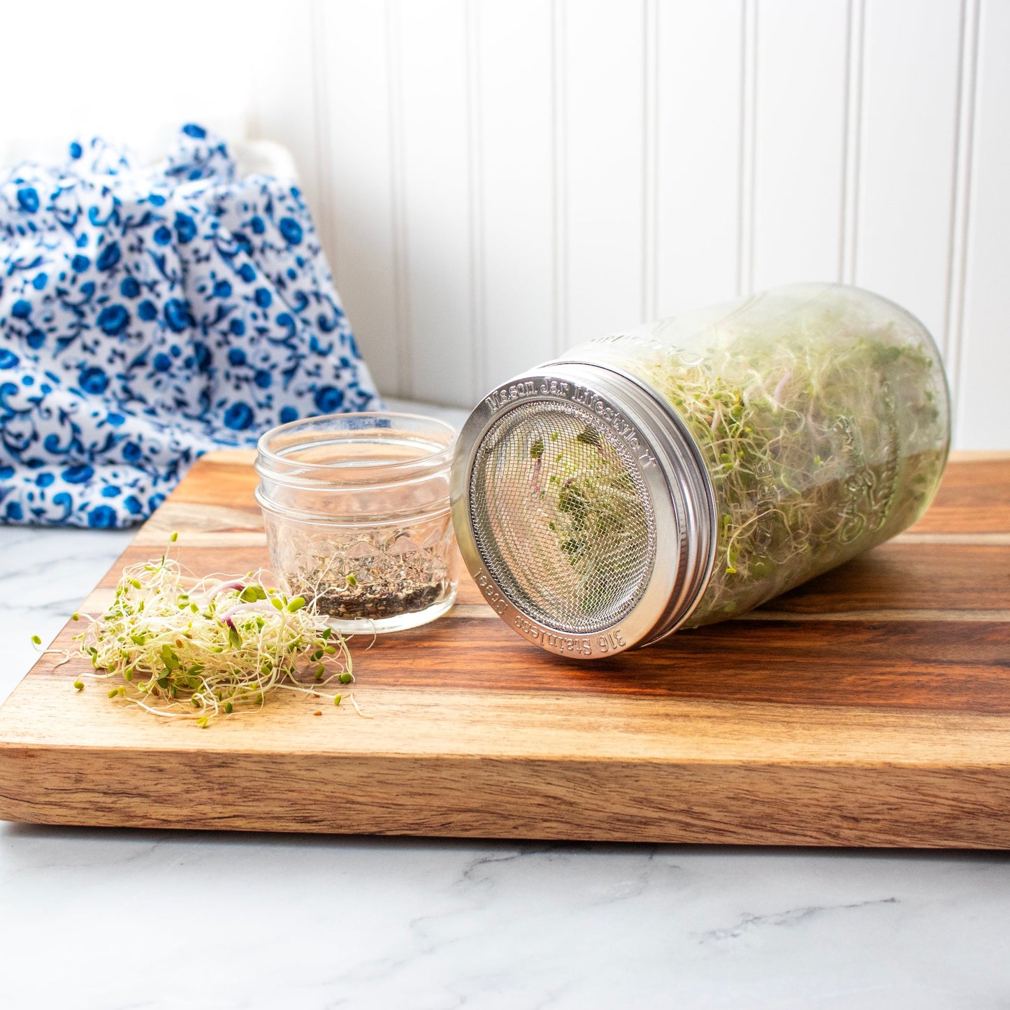 Curved Rust Proof Sprouting Lid and Band for Mason Jars
