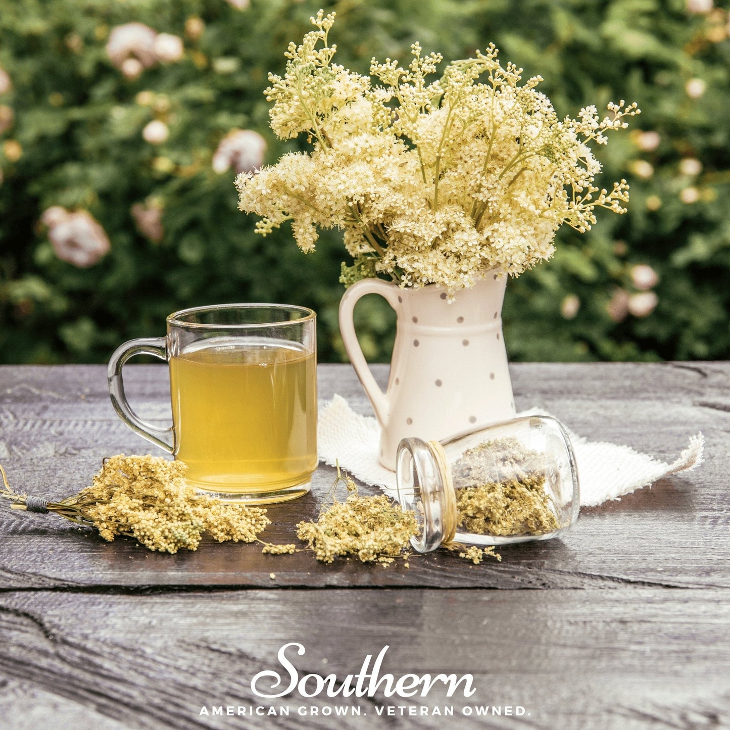 Meadowsweet ā 50 Seeds