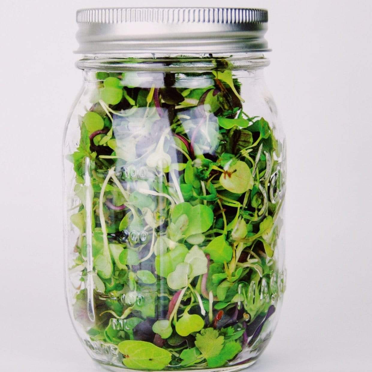 Southern Spice Mix Microgreens ā 8 grams