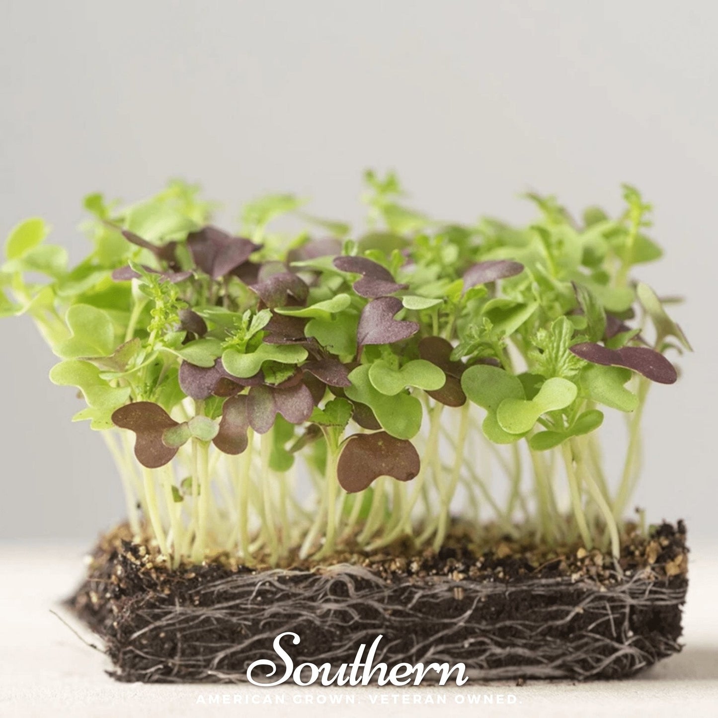 Southern Spice Mix Microgreens ā 8 grams