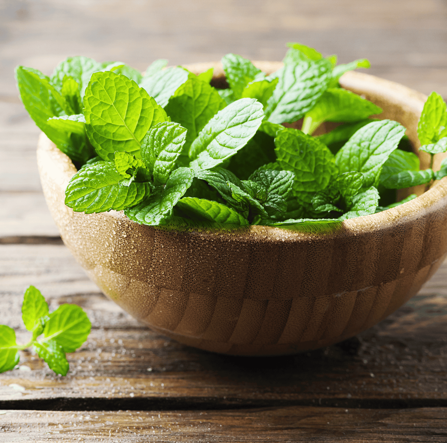 Mint ā 100 Seeds