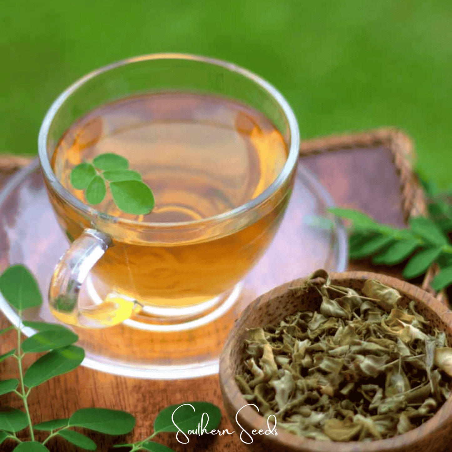 Moringa ā 10 Seeds