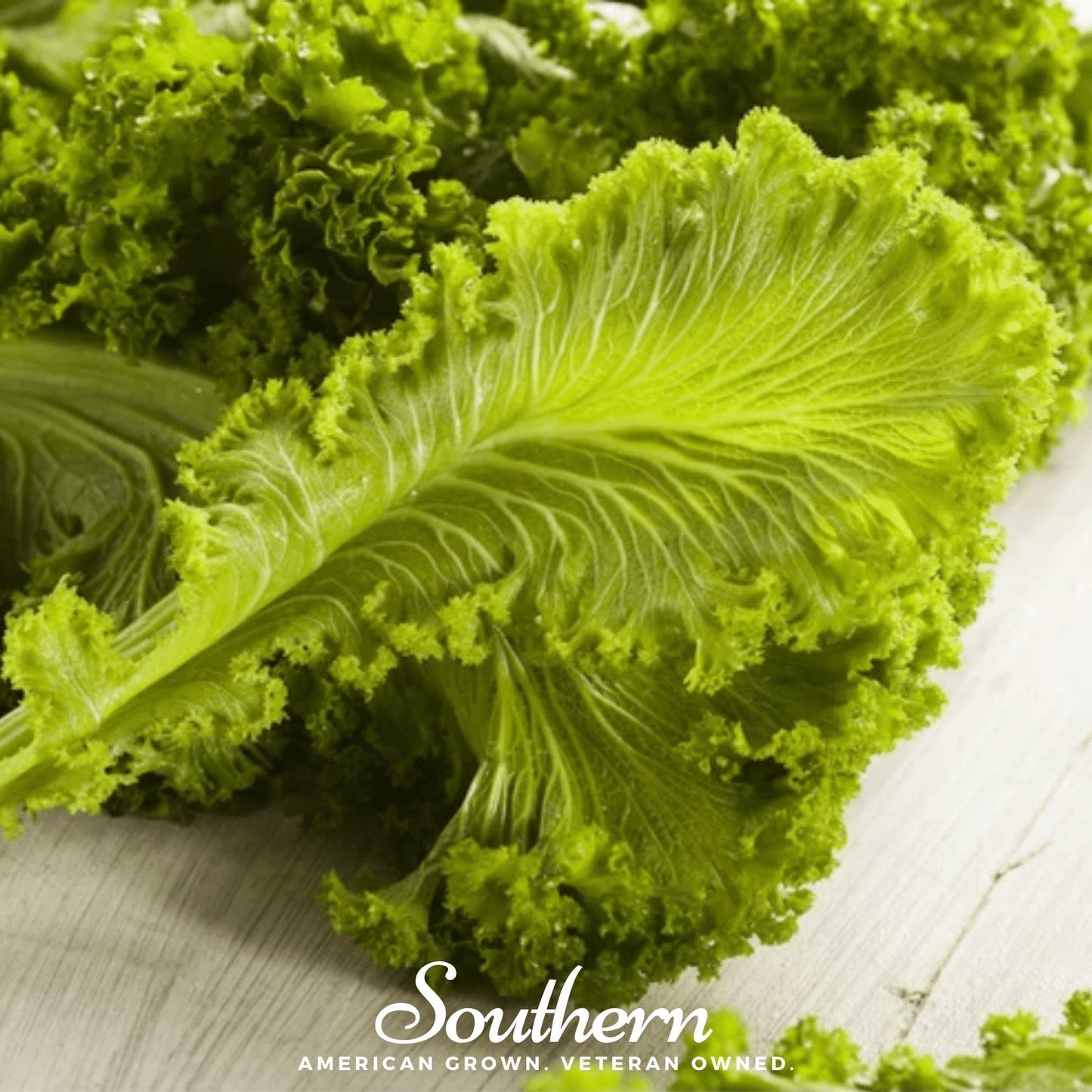 Southern Giant Mustard ā 250 Seeds