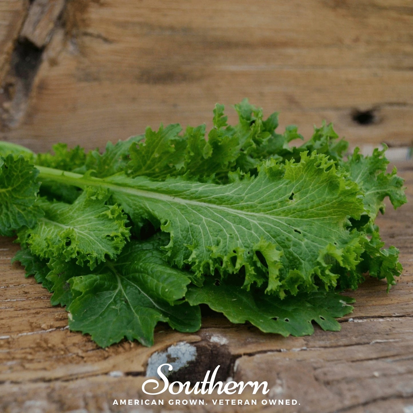 Southern Giant Mustard ā 250 Seeds