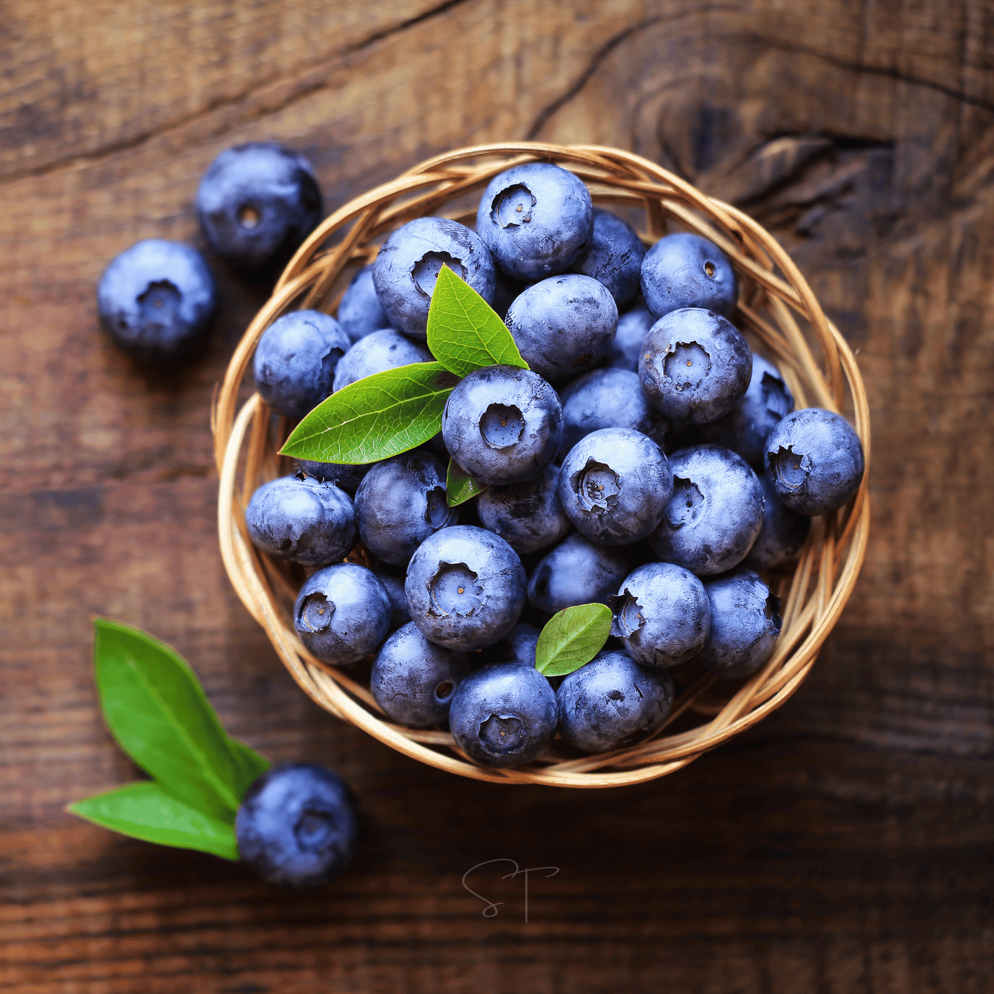 Northern Highbush Blueberry ā 50 Seeds