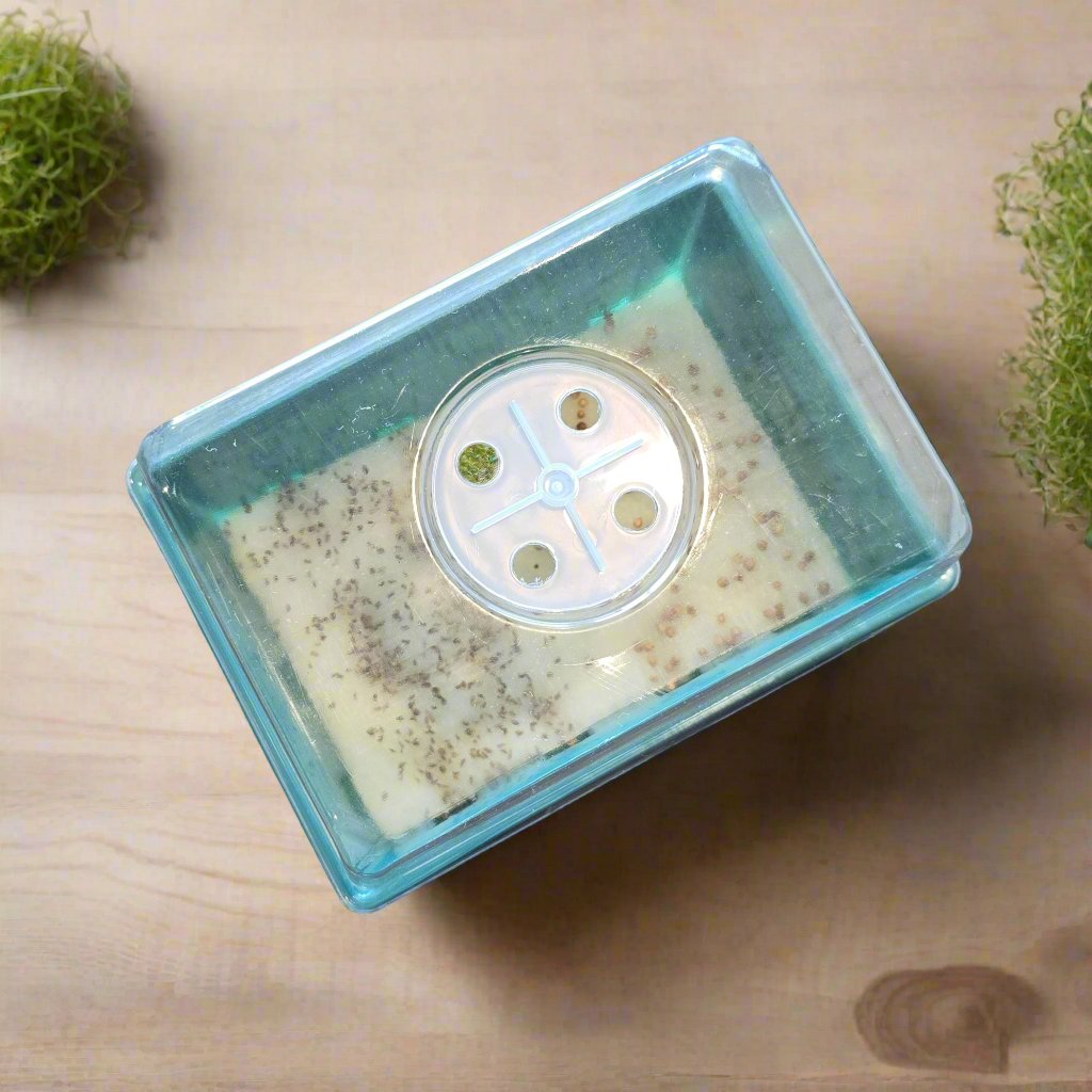 Microgreens Nursery