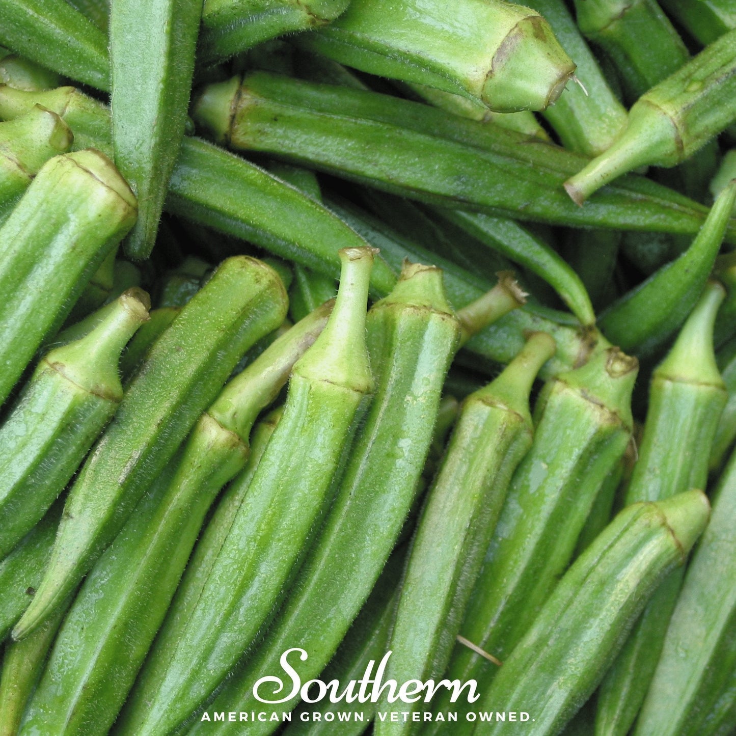 Clemson Spineless Okra ā 50 Seeds