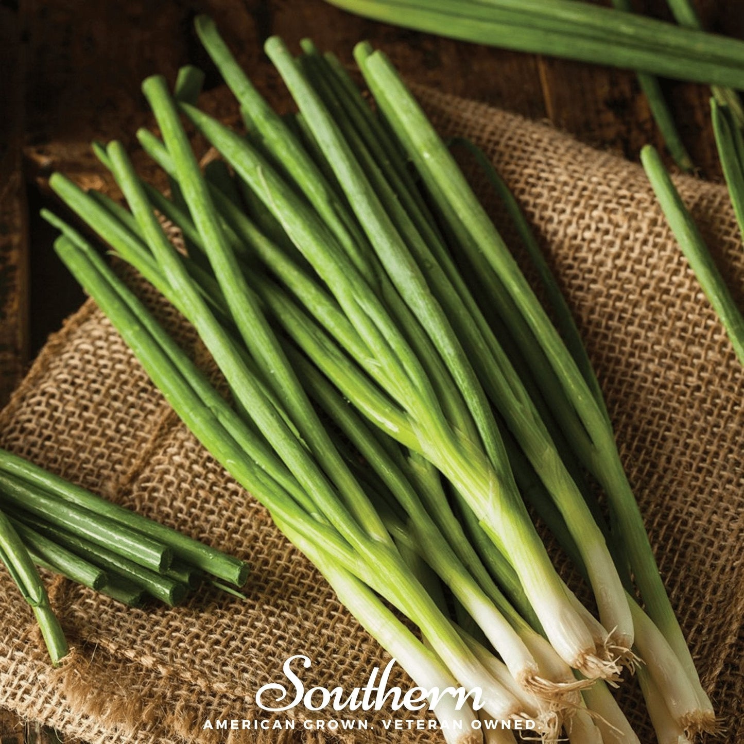 Evergreen Bunching Onion ā 200 Seeds