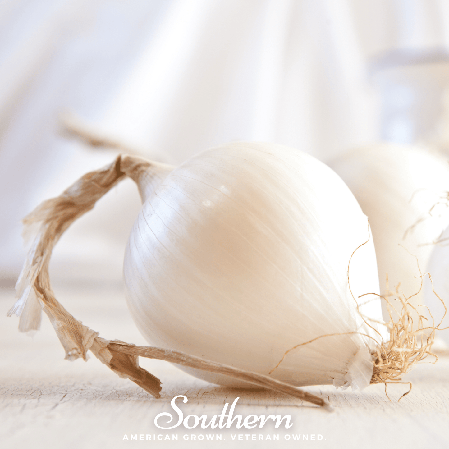 Spanish White Sweet Onion ā 200 Seeds