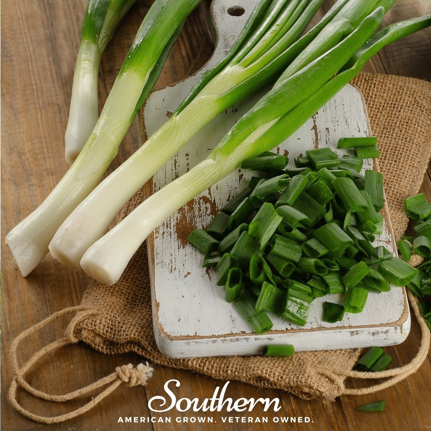 Tokyo Long White Onion ā 200 Seeds