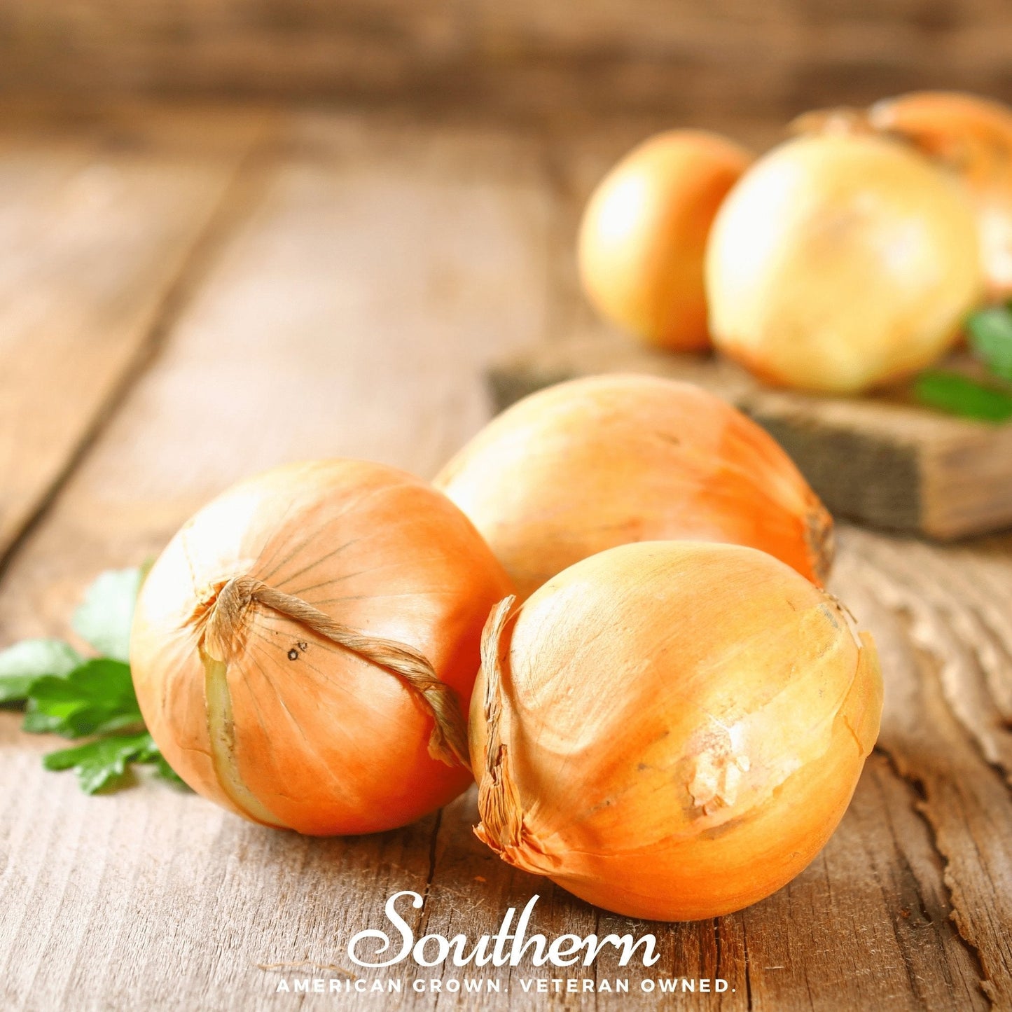 Utah Yellow Sweet Spanish Onion ā 200 Seeds