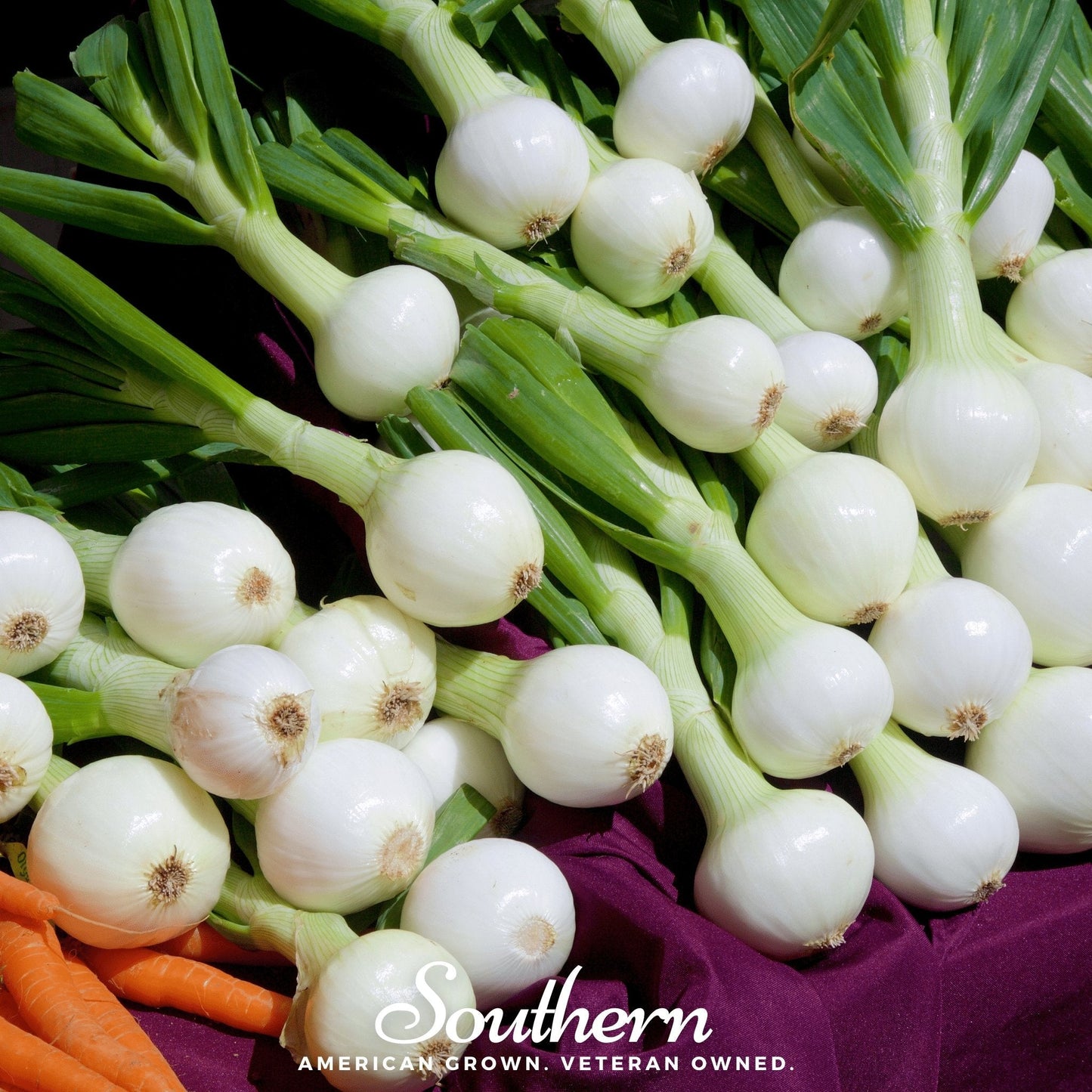 Walla Walla Onion ā 200 Seeds