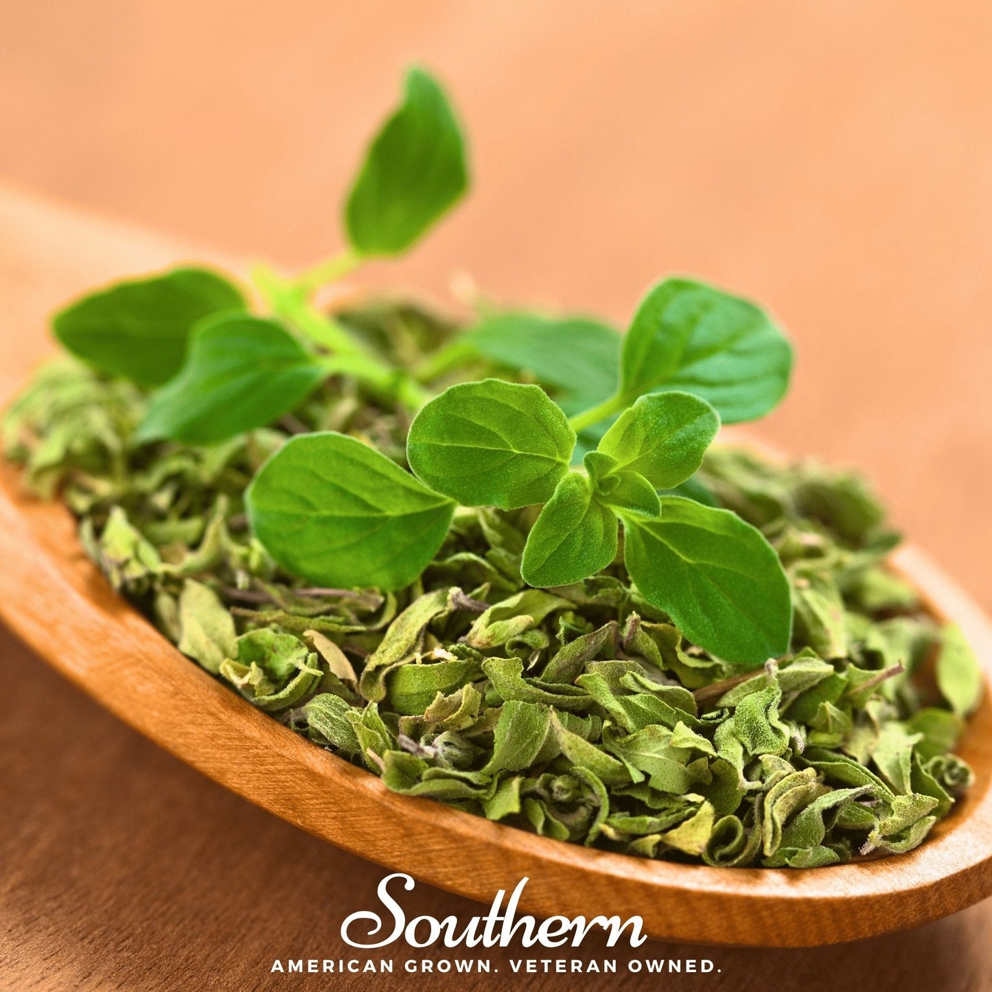 Italian Oregano ā 200 Seeds