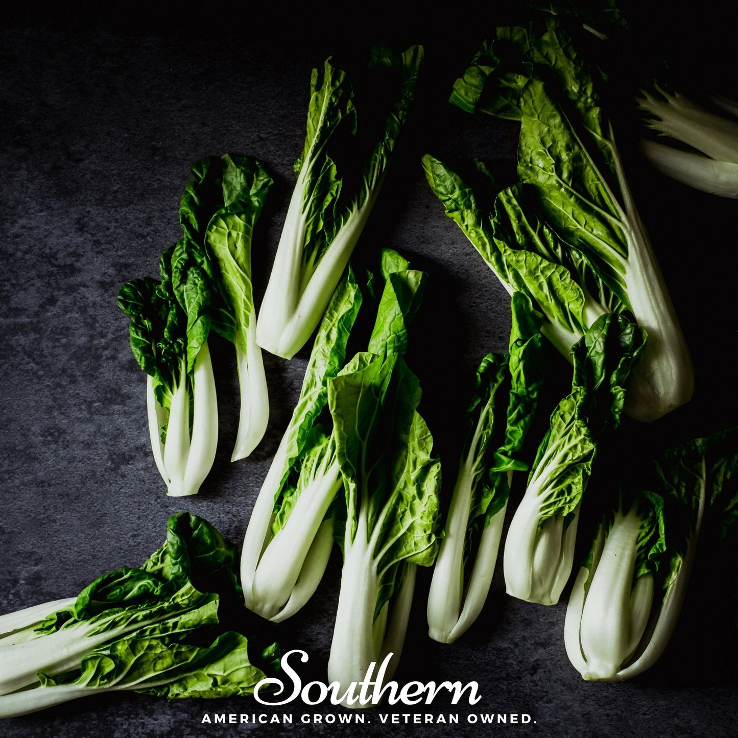 Canton Pak Choi ā 100 Seeds