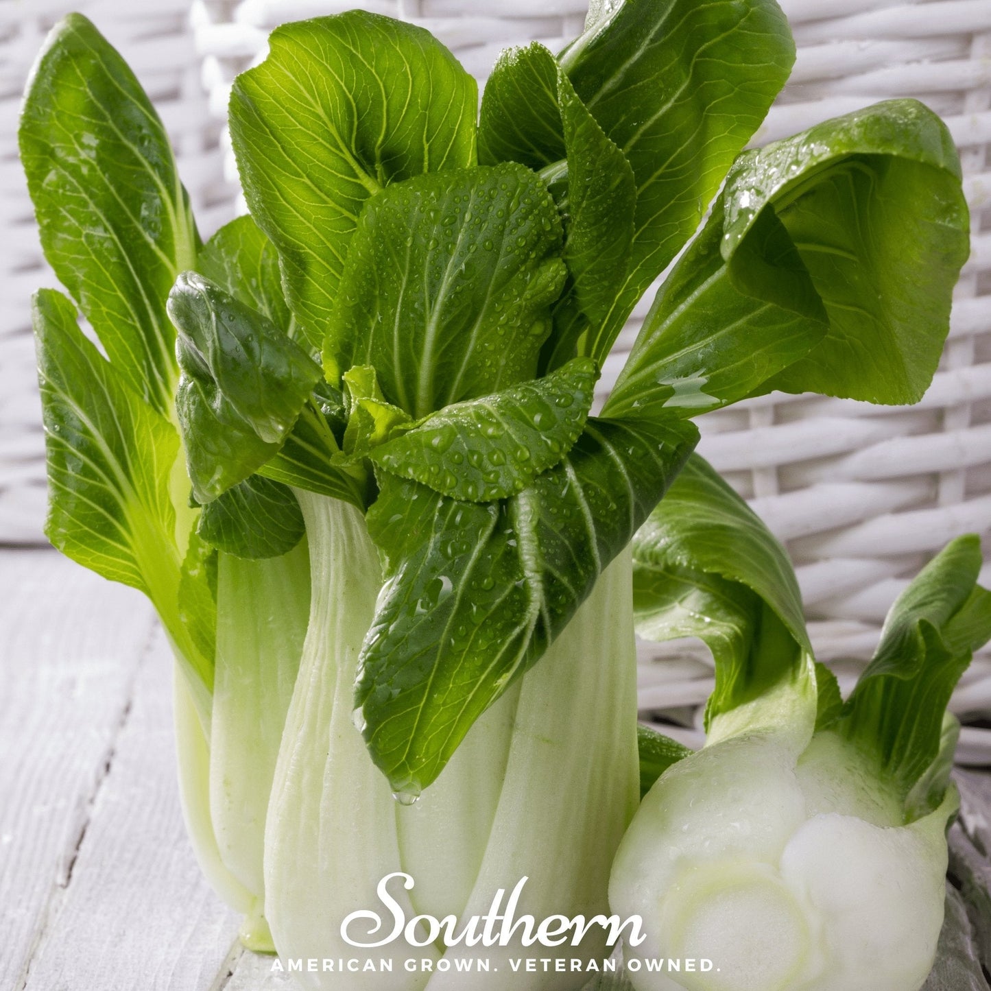 Canton Pak Choi ā 100 Seeds