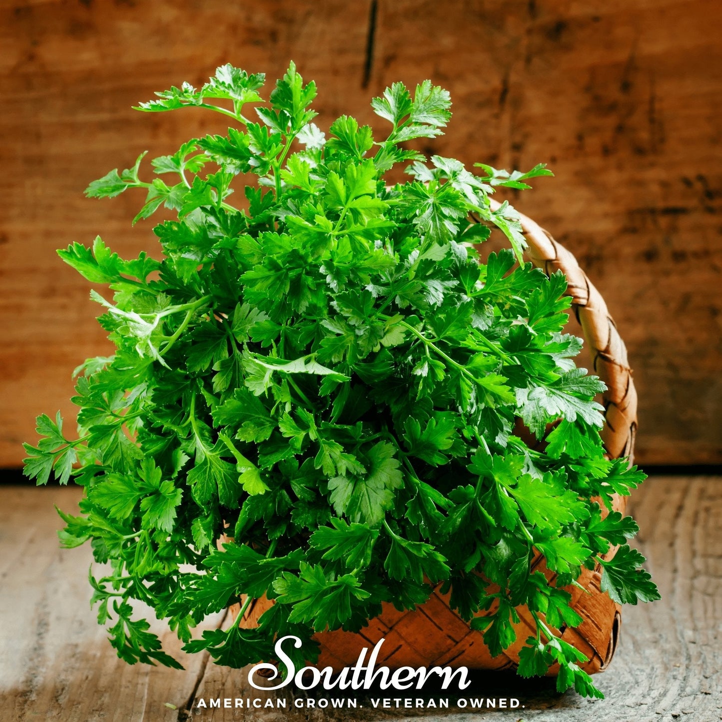 Italian Parsley ā 200 Seeds