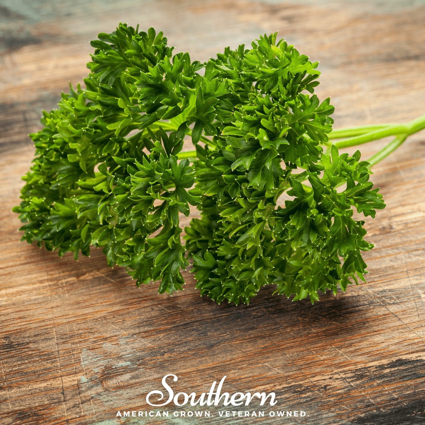 Triple Curled Parsley ā 200 Seeds