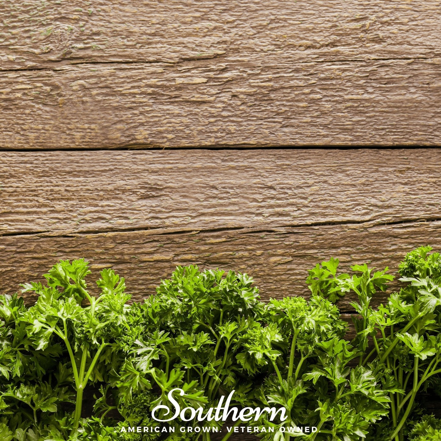 Triple Curled Parsley ā 200 Seeds