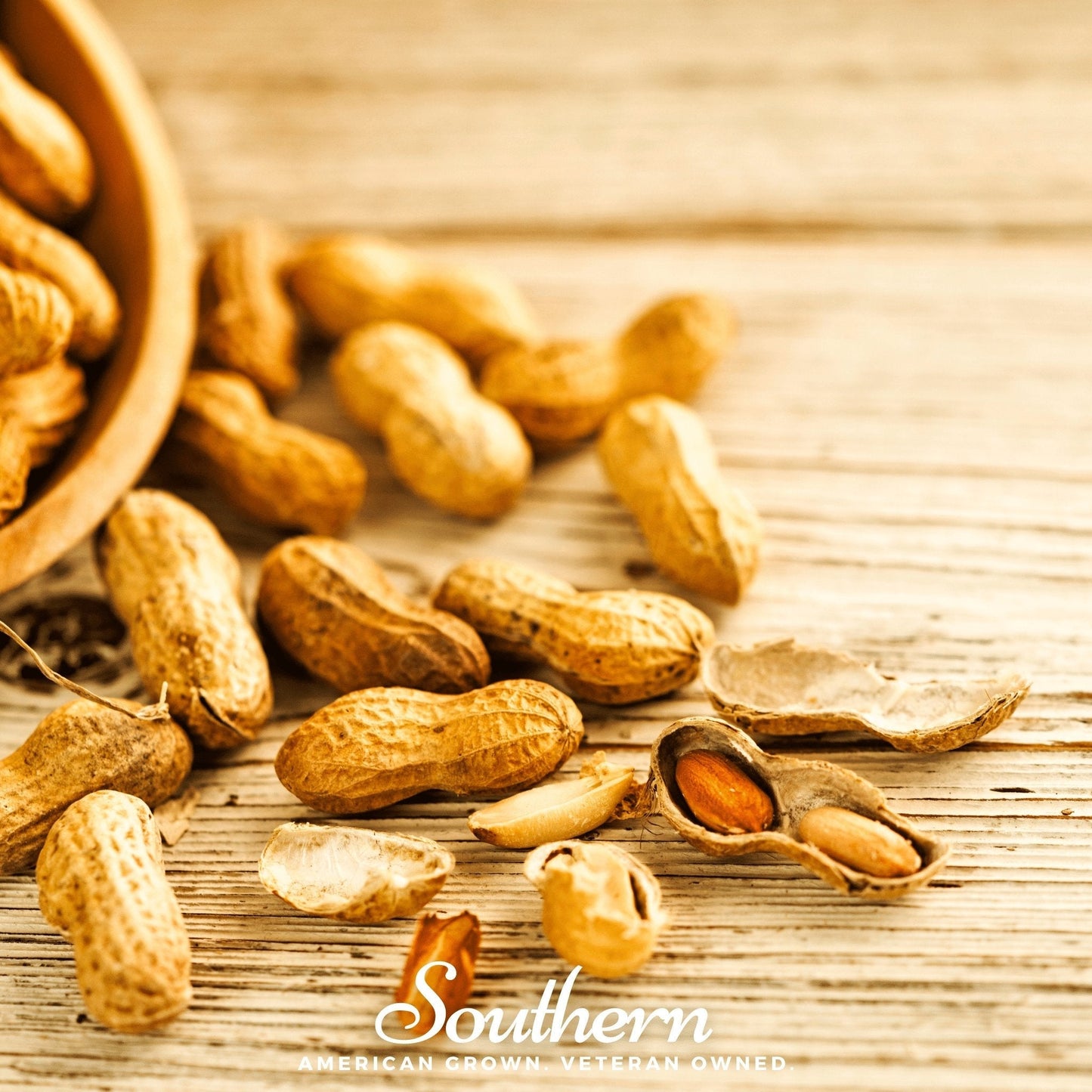 Virginia Jumbo Peanuts ā 10 Seeds