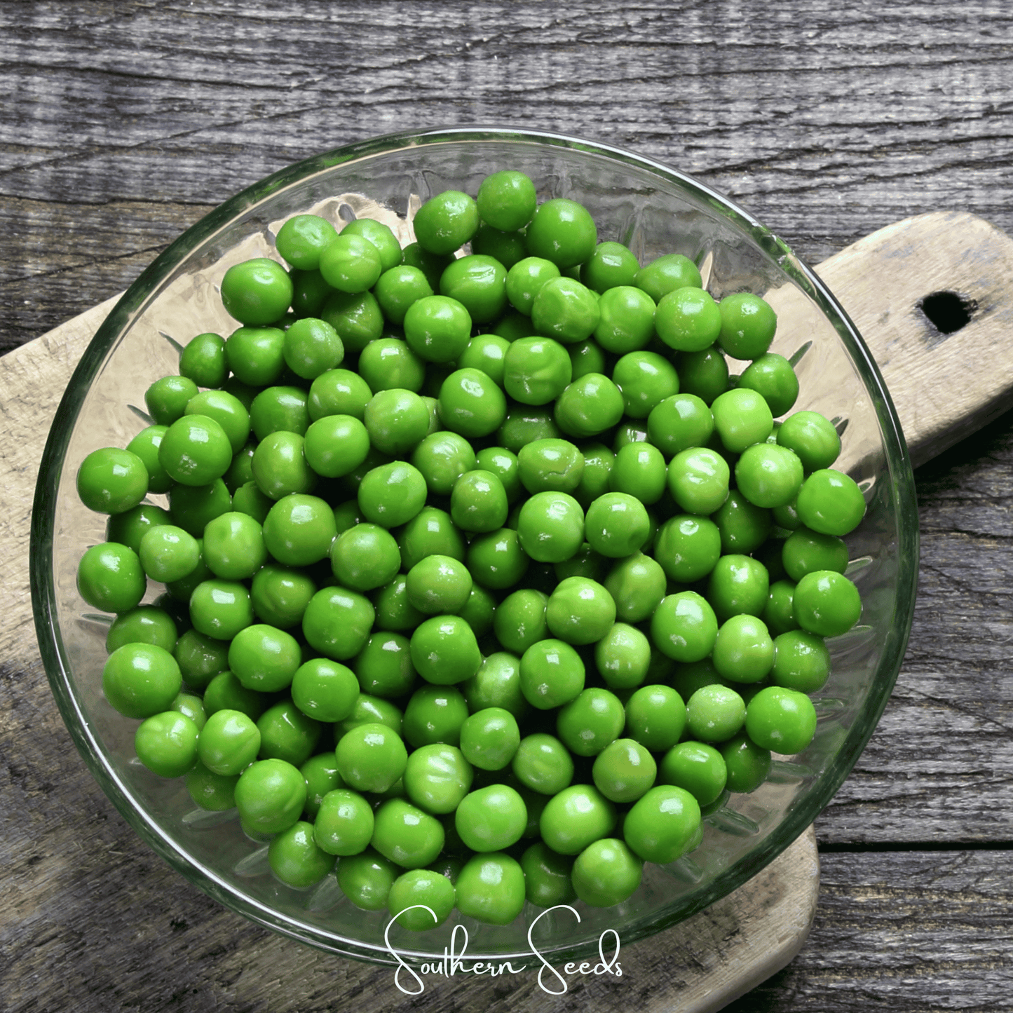 Early Frosty Peas ā 25 Seeds