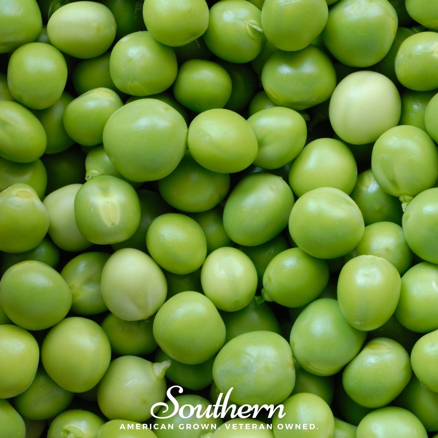 Green Arrow Peas ā 25 Seeds