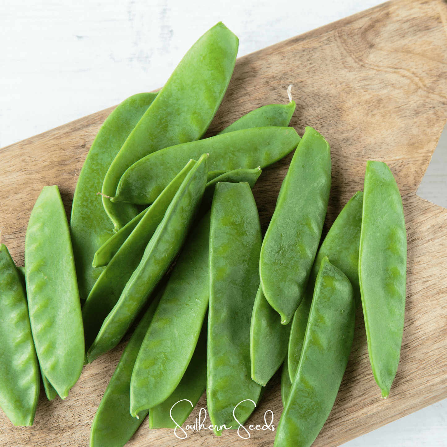 Oregon Sugar II Snow Peas ā 25 Seeds