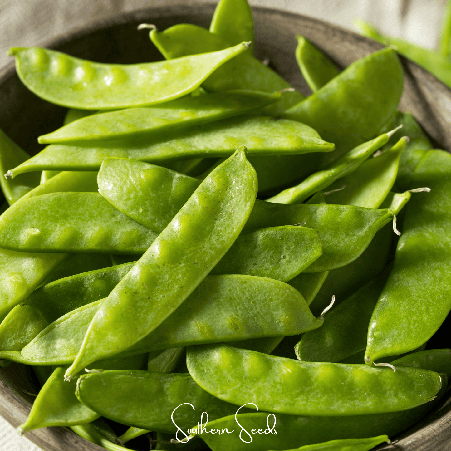 Oregon Sugar II Snow Peas ā 25 Seeds