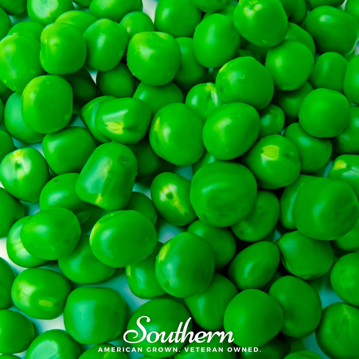 Sugar Daddy Peas ā 20 Seeds