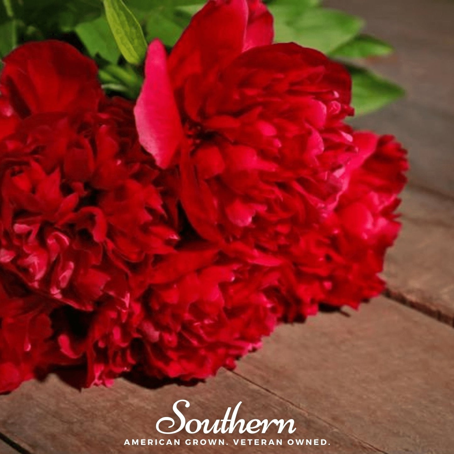 Red Peony Poppy ā 100 Seeds