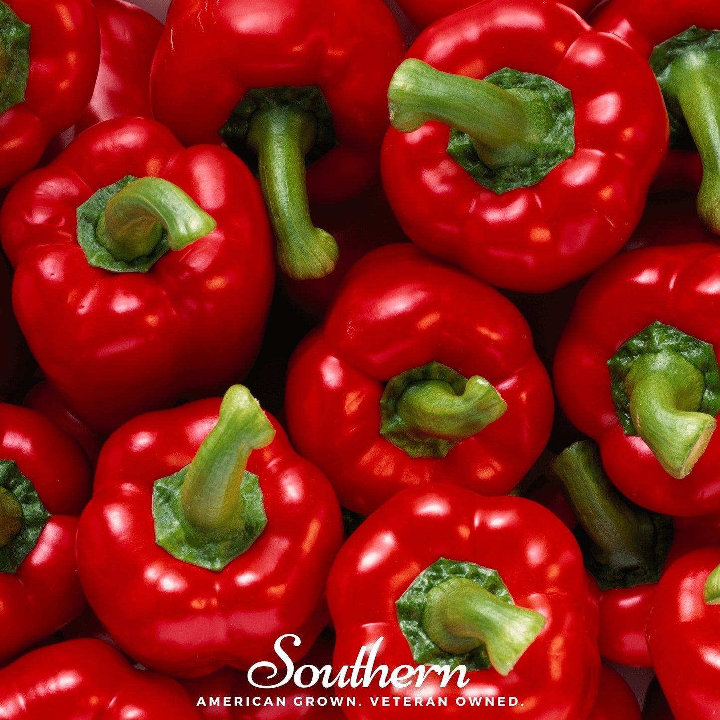 Big Red Sweet Bell Pepper ā 30 Seeds