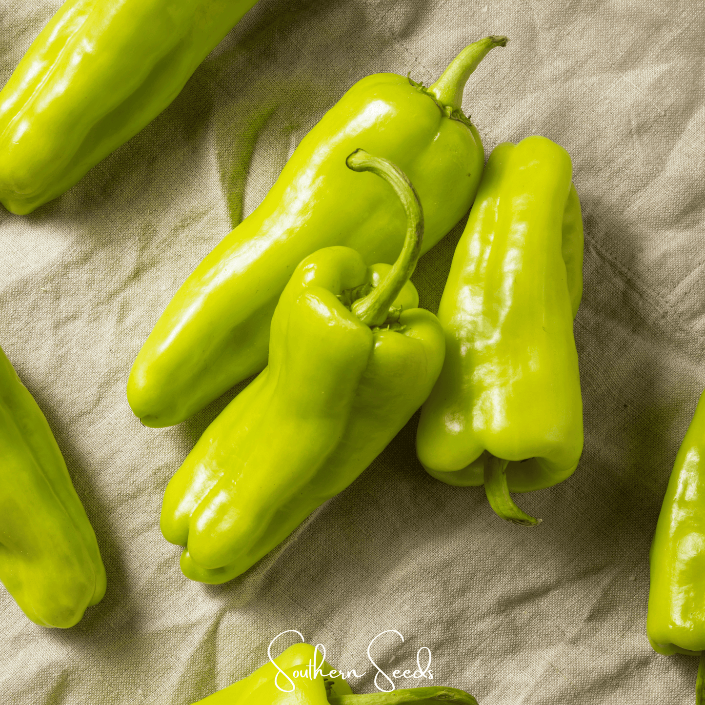 Cubanelle Sweet Pepper ā 25 Seeds