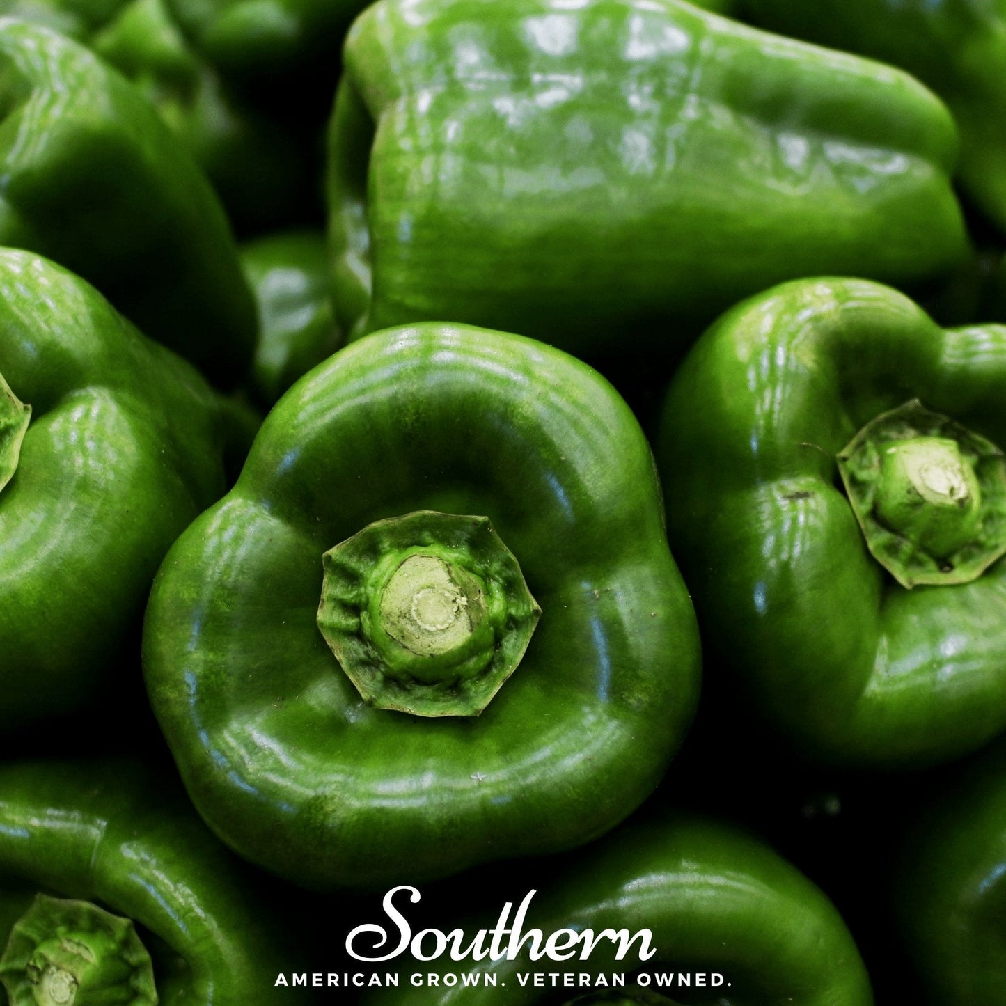 Emerald Giant Sweet Bell Pepper ā 30 Seeds