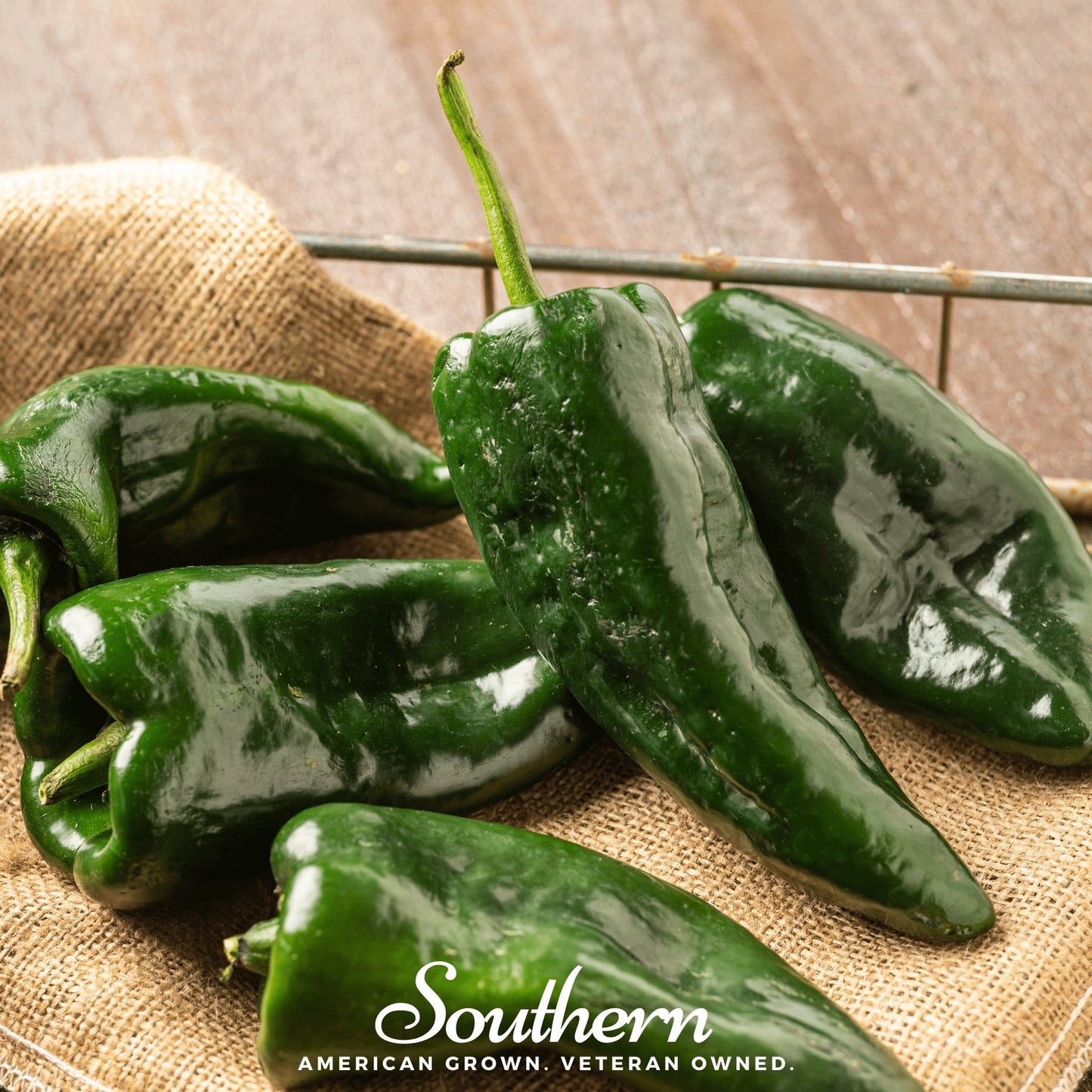 Poblano Ancho Grande Pepper ā 25 Seeds