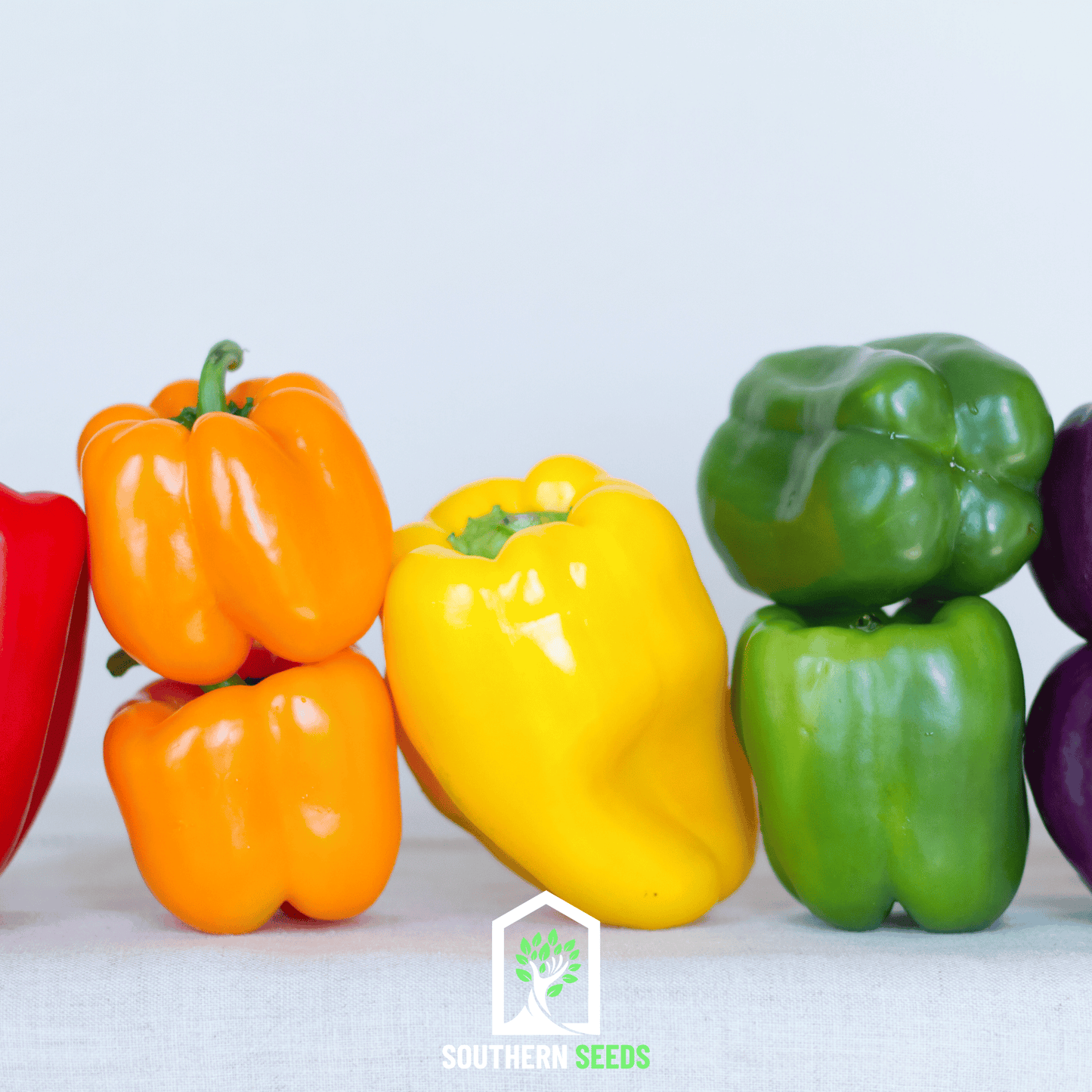 Rainbow Bell Sweet Pepper ā 25 Seeds