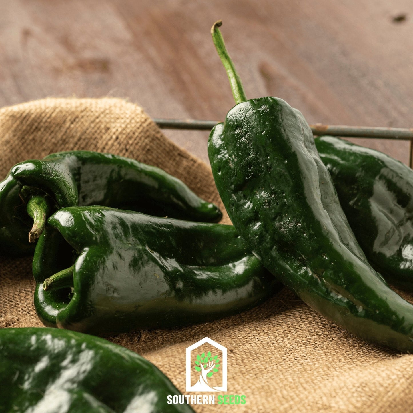 Pepper Seed Collection ā 6 Essential Heirloom Peppers