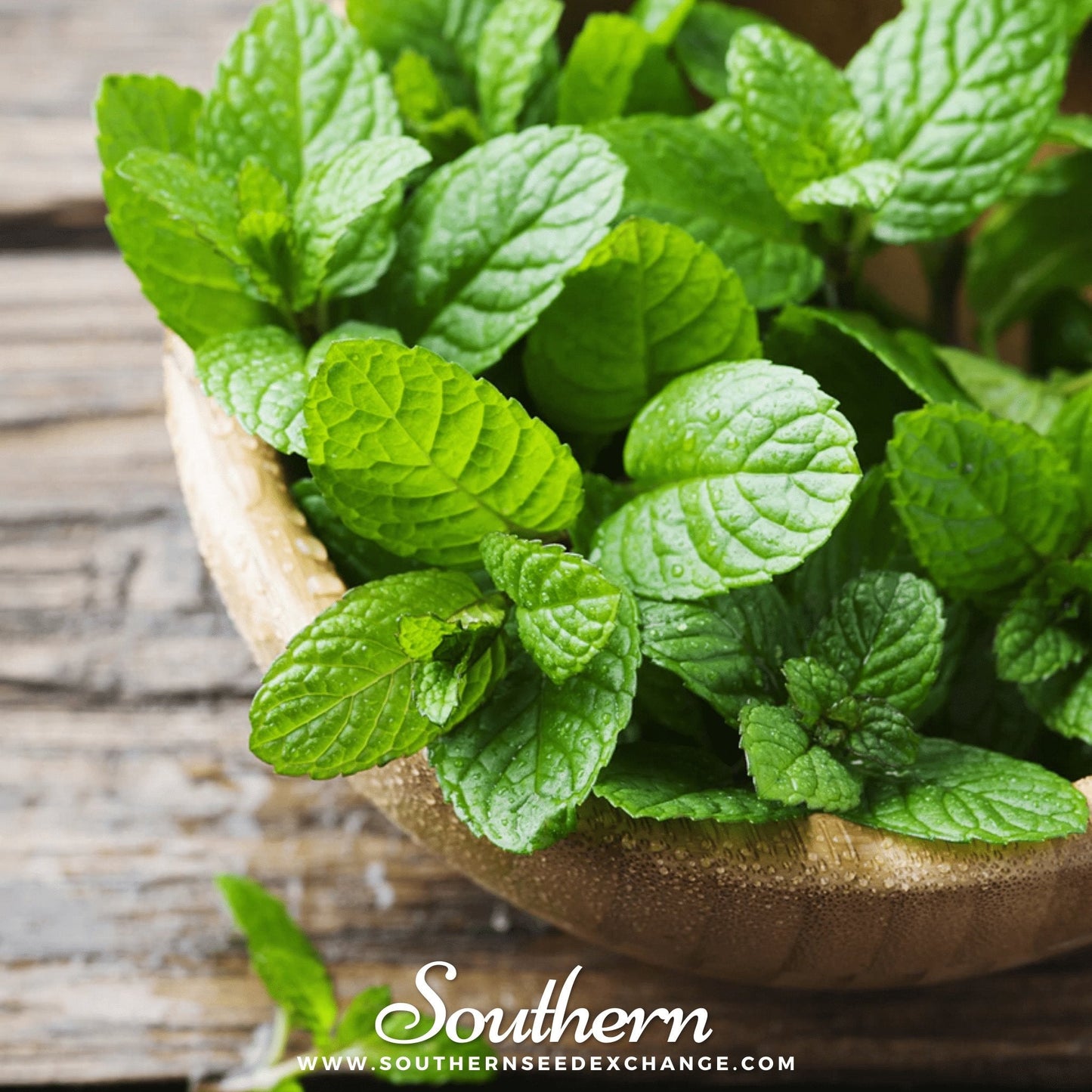 Peppermint โ 100 Seeds