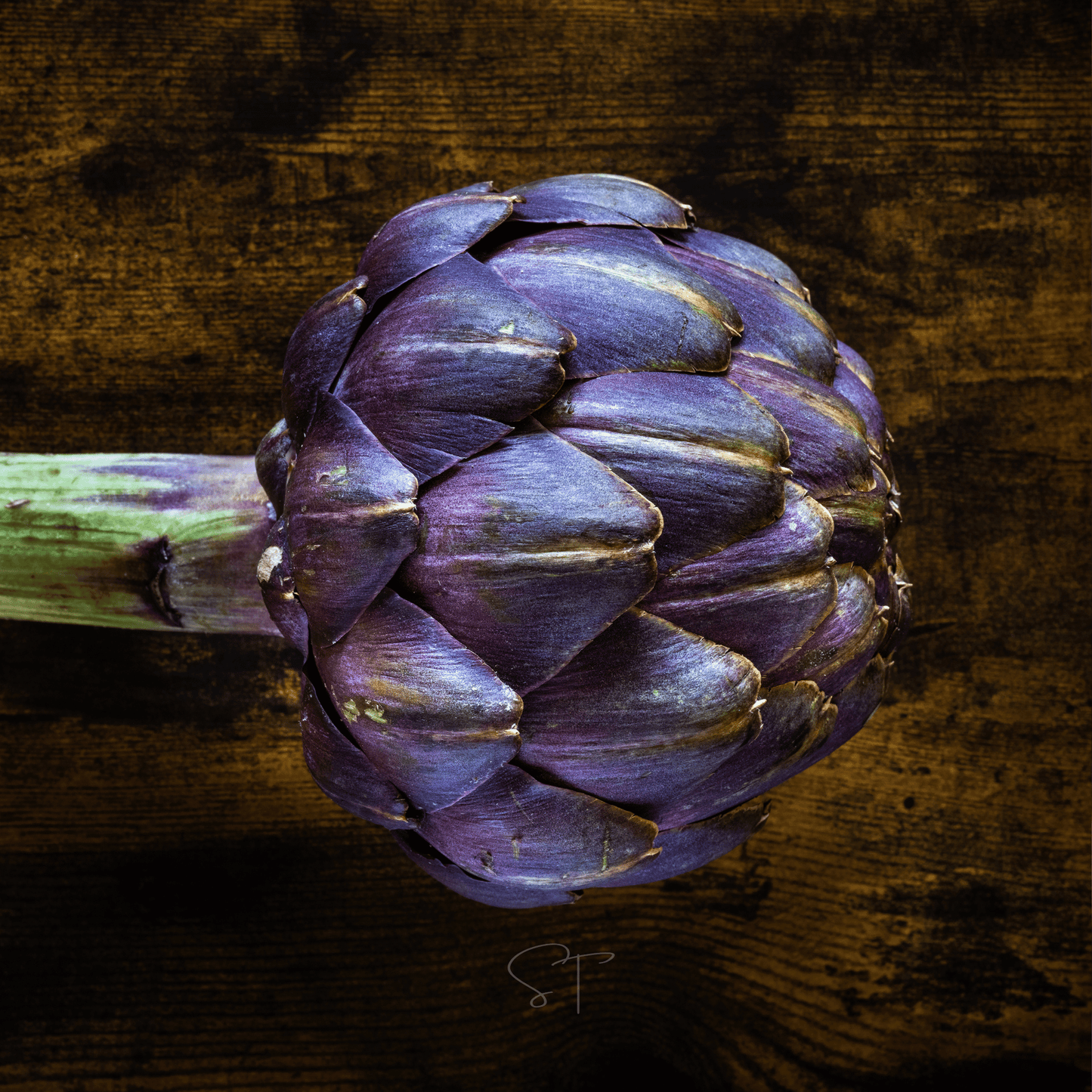 Purple Romagna Artichoke ā 25 Seeds
