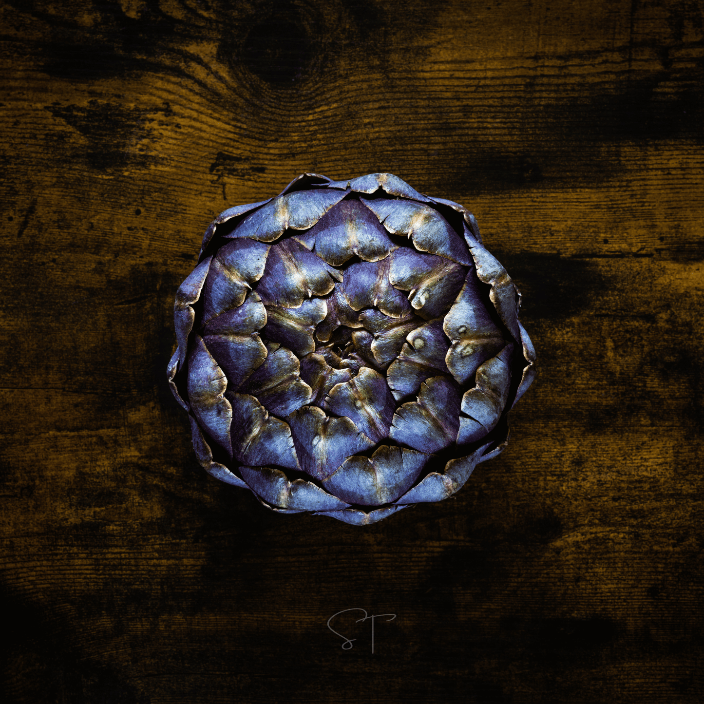 Purple Romagna Artichoke ā 25 Seeds