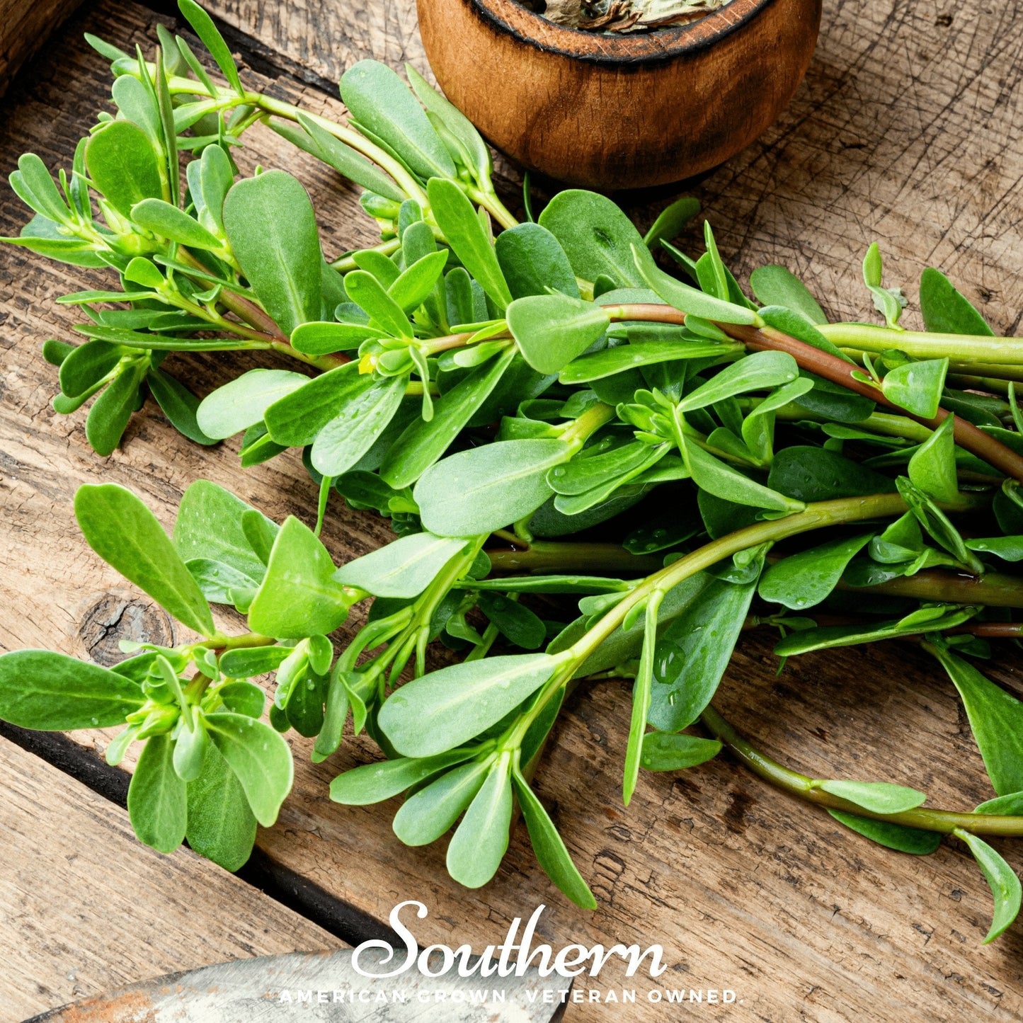 Purslane ā 100 Seeds