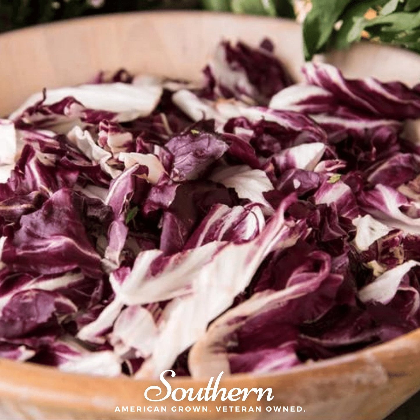 Palla Rossa Radicchio ā 100 Seeds