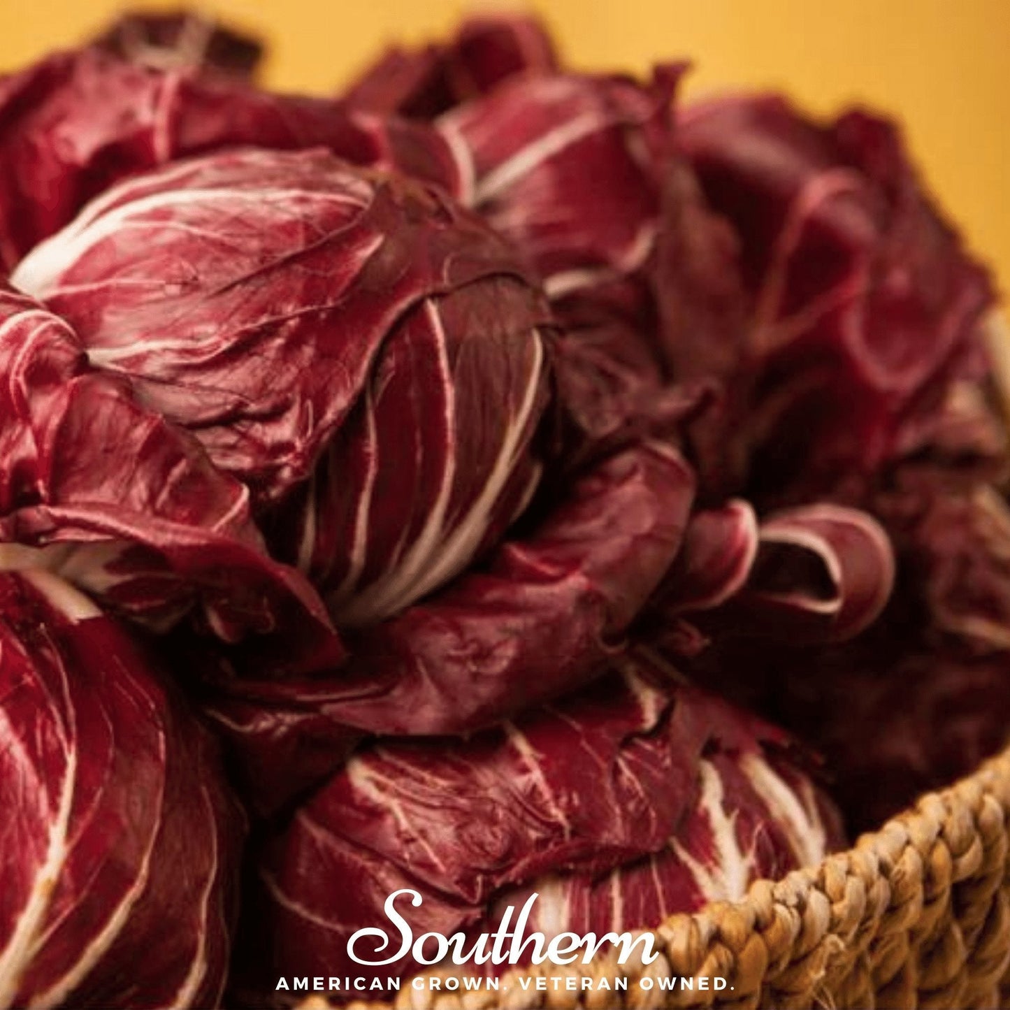 Palla Rossa Radicchio ā 100 Seeds